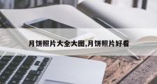 月饼照片大全大图,月饼照片好看